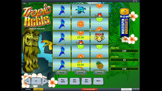 Tropic Reels 10