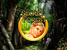 Игровой аппарат Secret Forest